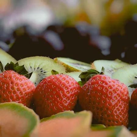 Jaeger - Der Geheimtipp Am Europa-park